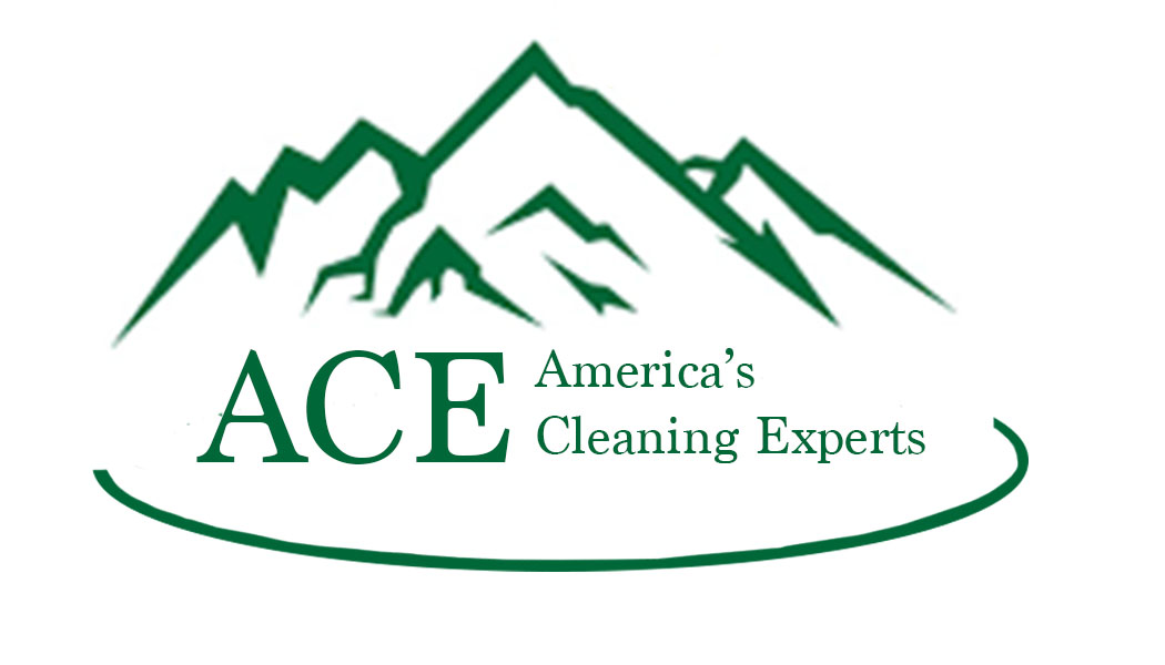 ACE Carpet Care
